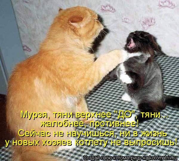 жалобнее, противнее! Сейчас не научишься, ни в жизнь Мурзя, тяни верхнее "ДО", тяни... у новых хозяев... Котоматрица: жалобнее, противнее! Сейчас не научишься, ни в жизнь Мурзя, тяни верхнее "ДО", тяни... у новых хозяев котлету не выпросишь!