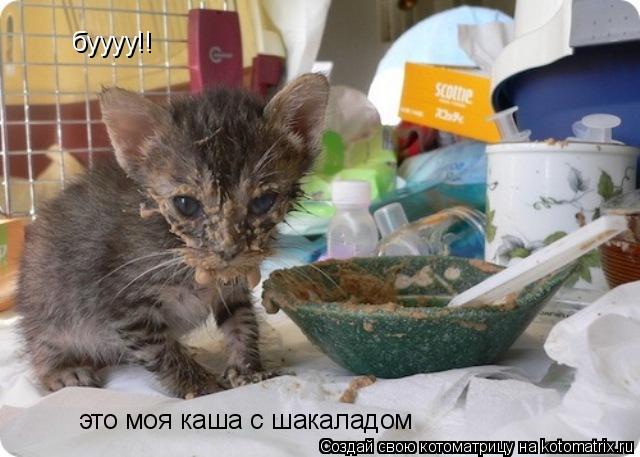 буууу!! это моя каша с шакаладом... Котоматрица: буууу!! это моя каша с шакаладом