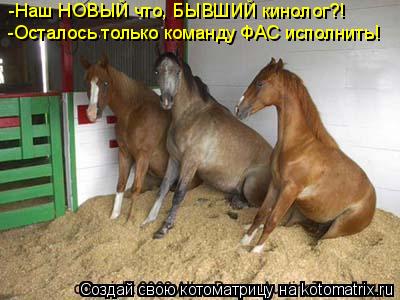 -Осталось только команду ФАС исполнить! -Наш НОВЫЙ что, БЫВШИЙ кинолог?!... Котоматрица: -Осталось только команду ФАС исполнить! -Наш НОВЫЙ что, БЫВШИЙ кинолог?!
