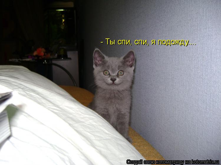 - Ты спи, спи, я подожду....... Котоматрица: - Ты спи, спи, я подожду....