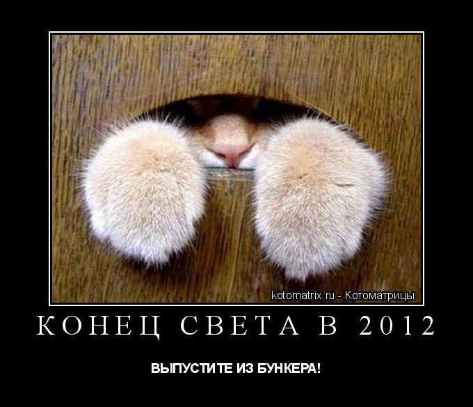 Конец света в 2012 ВЫПУСТИТЕ ИЗ БУНКЕРА!... Котоматрица: Конец света в 2012 ВЫПУСТИТЕ ИЗ БУНКЕРА!