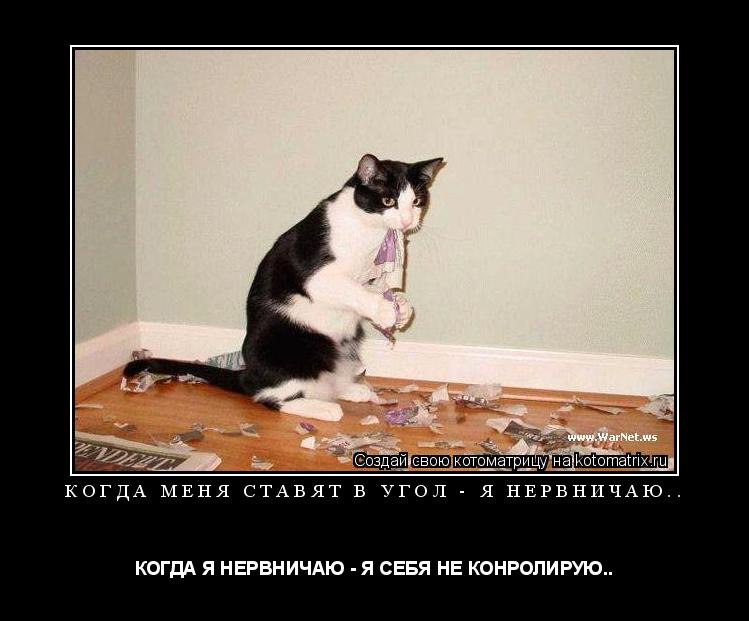 КОГДА МЕНЯ СТАВЯТ В УГОЛ - Я НЕРВНИЧАЮ.. КОГДА Я НЕРВНИЧАЮ - Я СЕБЯ НЕ КОНРОЛИРУЮ..... Котоматрица: КОГДА МЕНЯ СТАВЯТ В УГОЛ - Я НЕРВНИЧАЮ.. КОГДА Я НЕРВНИЧАЮ - Я СЕБЯ НЕ КОНРОЛИРУЮ..
