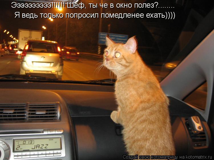 Ээээээээээ!!!!!! Шеф, ты че в окно полез?........ Я ведь только попросил помедленее ехать))))... Котоматрица: Ээээээээээ!!!!!! Шеф, ты че в окно полез?........ Я ведь только попросил помедленее ехать))))