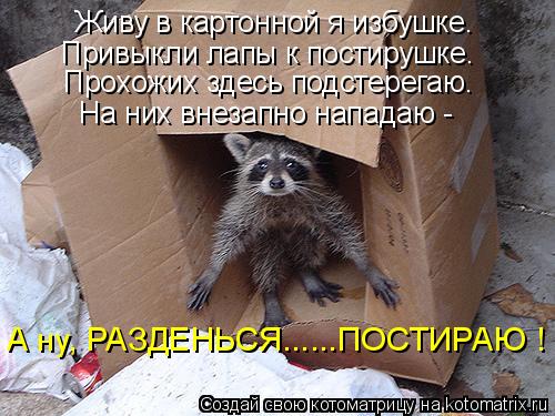 Котоматрица: Живу в картонной я избушке. Привыкли лапы к постирушке. Прохожих здесь подстерегаю. На них внезапно нападаю - А ну, РАЗДЕНЬСЯ......ПОСТИРАЮ !