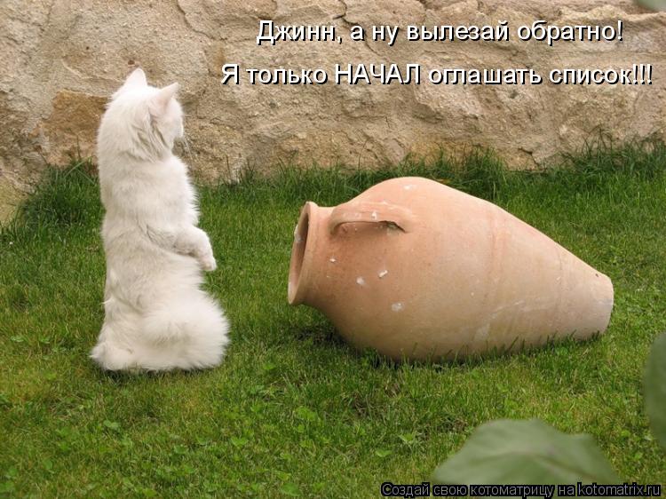 Котоматрица: Джинн, а ну вылезай обратно! Я только НАЧАЛ оглашать список!!!