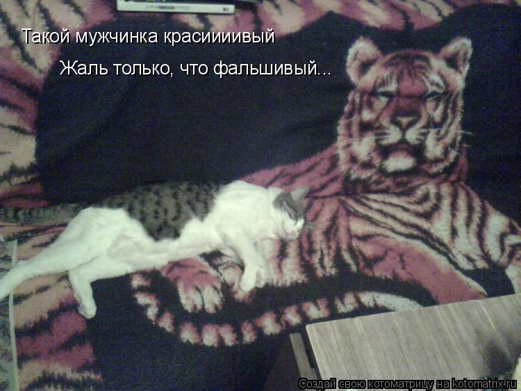 Такой мужчинка красиииивый Жаль только, что фальшивый...... Котоматрица: Такой мужчинка красиииивый Жаль только, что фальшивый...