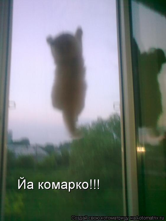 Йа комарко!!!... Котоматрица: Йа комарко!!!