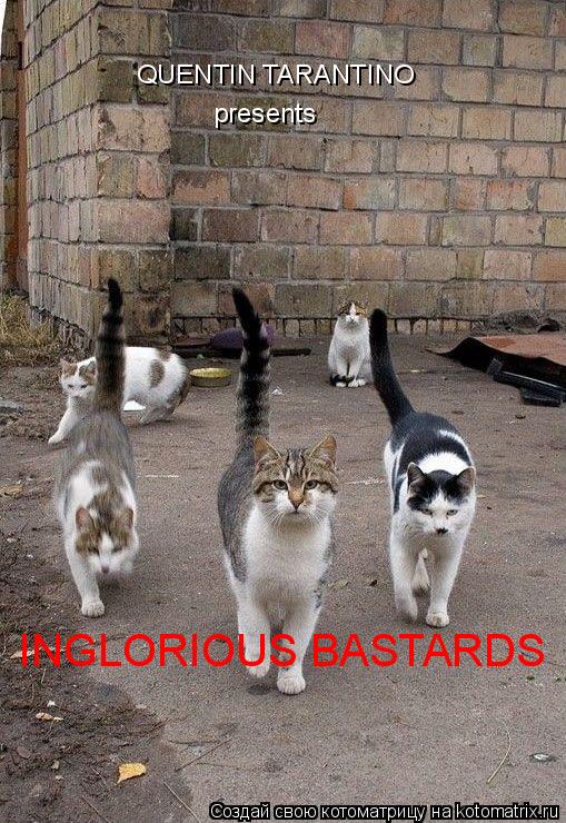 QUENTIN TARANTINO presents INGLORIOUS BASTARDS... Котоматрица: QUENTIN TARANTINO presents INGLORIOUS BASTARDS