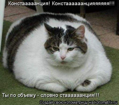 Констааааанция! Констаааааанцияяяяяя!!! Ты по объему - словно стаааааанция!!!... Котоматрица: Констааааанция! Констаааааанцияяяяяя!!! Ты по объему - словно стаааааанция!!!