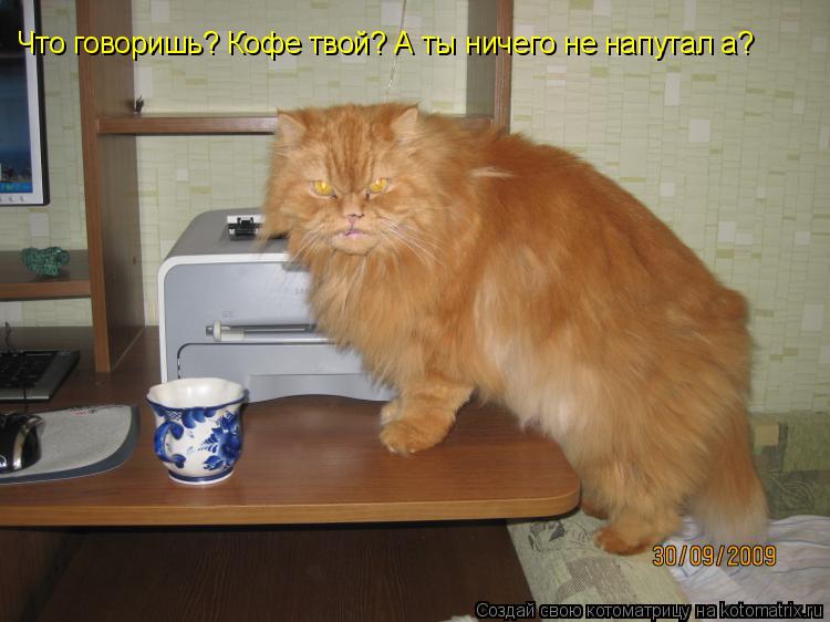 Что говоришь? Кофе твой? А ты ничего не напутал а?... Котоматрица: Что говоришь? Кофе твой? А ты ничего не напутал а?