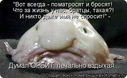 "Вот всегда - поматросят и бросят! Что за жизнь у нас, братцы, такая?! И никто даже имя не спросит!" ... Котоматрица: "Вот всегда - поматросят и бросят! Что за жизнь у нас, братцы, такая?! И никто даже имя не спросит!" - Думал ОРБИТ, печально вздыхая...