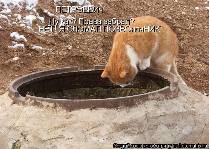 ПЕТРОВВИч! Ну как? Права забрал? НЕТ! Я СЛОМАЛ ПОЗВОночНИК... Котоматрица: ПЕТРОВВИч! Ну как? Права забрал? НЕТ! Я СЛОМАЛ ПОЗВОночНИК