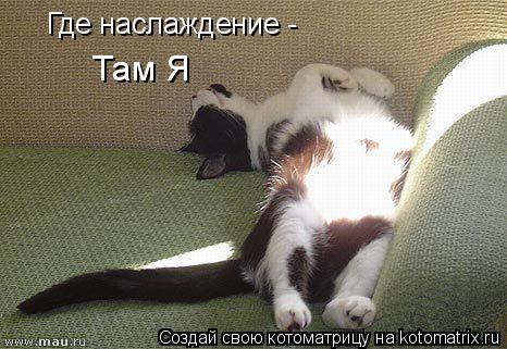Где наслаждение - Там Я... Котоматрица: Где наслаждение - Там Я