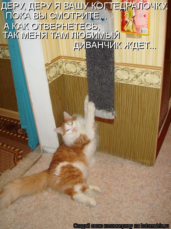 ДЕРУ, ДЕРУ Я ВАШУ КОГТЕДРАЛОЧКУ, ПОКА ВЫ СМОТРИТЕ... А КАК ОТВЕРНЕТЕСЬ, ТАК МЕНЯ ТАМ ЛЮБИМЫЙ ДИВАНЧ... Котоматрица: ДЕРУ, ДЕРУ Я ВАШУ КОГТЕДРАЛОЧКУ, ПОКА ВЫ СМОТРИТЕ... А КАК ОТВЕРНЕТЕСЬ, ТАК МЕНЯ ТАМ ЛЮБИМЫЙ ДИВАНЧИК ЖДЕТ...