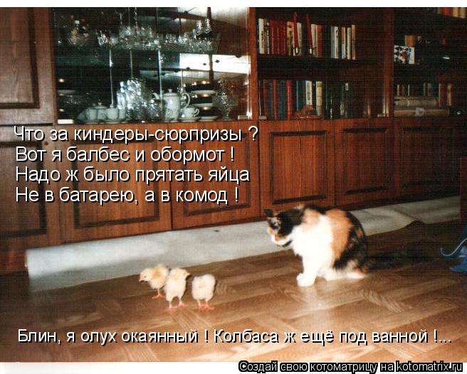 Котоматрица: Что за киндеры-сюрпризы ? Не в батарею, а в комод ! Вот я балбес и обормот ! Блин, я олух окаянный ! Колбаса ж ещё под ванной !... Надо ж было прята