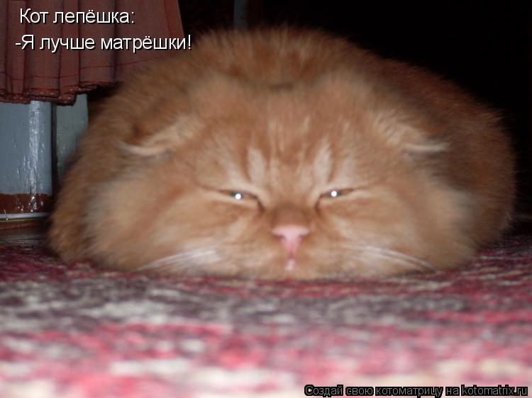 Кот лепёшка: -Я лучше матрёшки!... Котоматрица: Кот лепёшка: -Я лучше матрёшки!