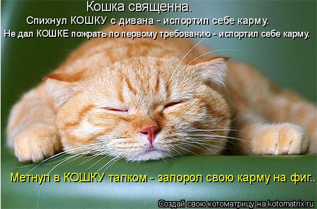 Кошка священна. Спихнул КОШКУ с дивана - испортил себе карму. Не дал КОШКЕ пожрать по первому требо... Котоматрица: Кошка священна. Спихнул КОШКУ с дивана - испортил себе карму. Не дал КОШКЕ пожрать по первому требованию - испортил себе карму. Метнул в КОШ
