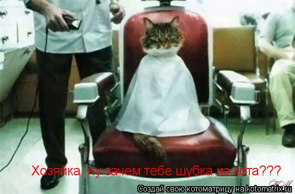 Котоматрица: Хозяйка, ну зачем тебе шубка из кота???