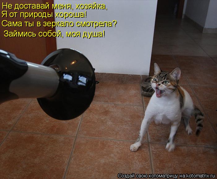Займись собой, моя душа! Сама ты в зеркало смотрела? Не доставай меня, хозяйка, Я от природы хороша!... Котоматрица: Займись собой, моя душа! Сама ты в зеркало смотрела? Не доставай меня, хозяйка, Я от природы хороша!