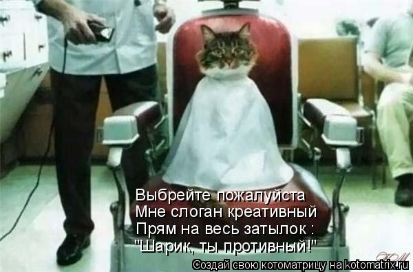 Котоматрица: Выбрейте пожалуйста Мне слоган креативный Прям на весь затылок : "Шарик, ты противный!"