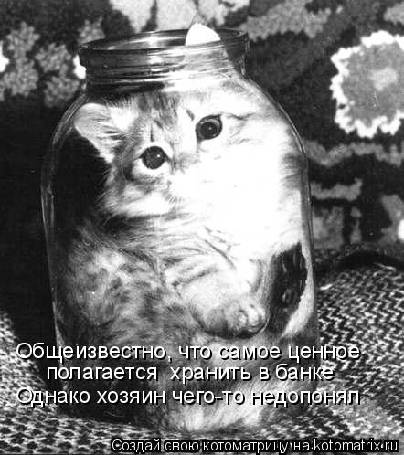 полагается хранить в банке Общеизвестно, что самое ценное Однако хозяин чего-то недопонял... Котоматрица: полагается хранить в банке Общеизвестно, что самое ценное Однако хозяин чего-то недопонял