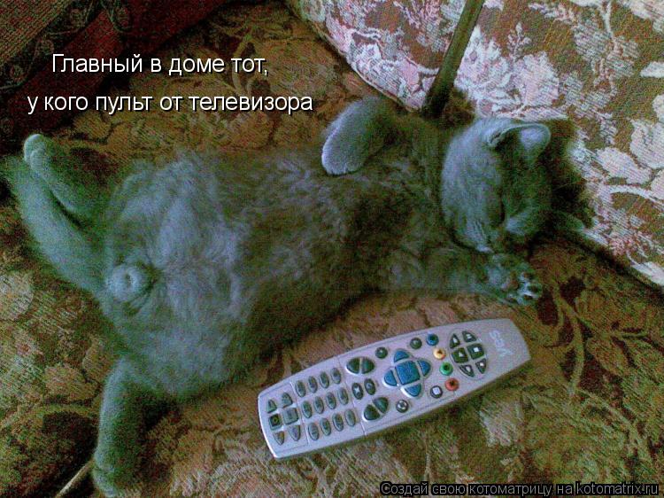 у кого пульт от телевизора Главный в доме тот,... Котоматрица: у кого пульт от телевизора Главный в доме тот,