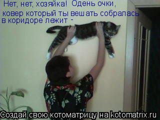 ковер который ты вешать собралась в коридоре лежит - Нет, нет, хозяйка! Одень очки,... Котоматрица: ковер который ты вешать собралась в коридоре лежит - Нет, нет, хозяйка! Одень очки,