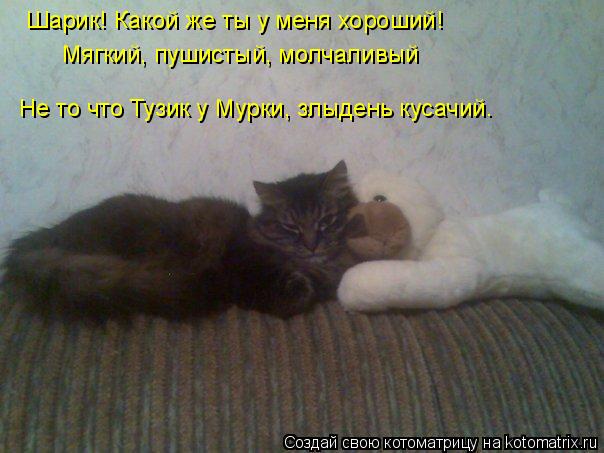 Шарик! Какой же ты у меня хороший! Мягкий, пушистый, молчаливый Не то что Тузик у Мурки, злыдень куса... Котоматрица: Шарик! Какой же ты у меня хороший! Мягкий, пушистый, молчаливый Не то что Тузик у Мурки, злыдень кусачий.