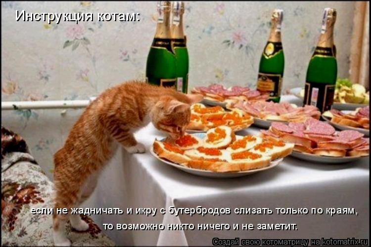 Котоматрица: Инструкция котам: если не жадничать и икру с бутербродов слизать только по краям, то возможно никто ничего и не заметит.