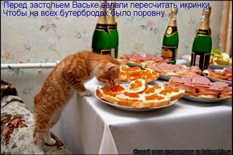 Котоматрица: Перед застольем Ваське велели пересчитать икринки Чтобы на всех бутербродах было поровну