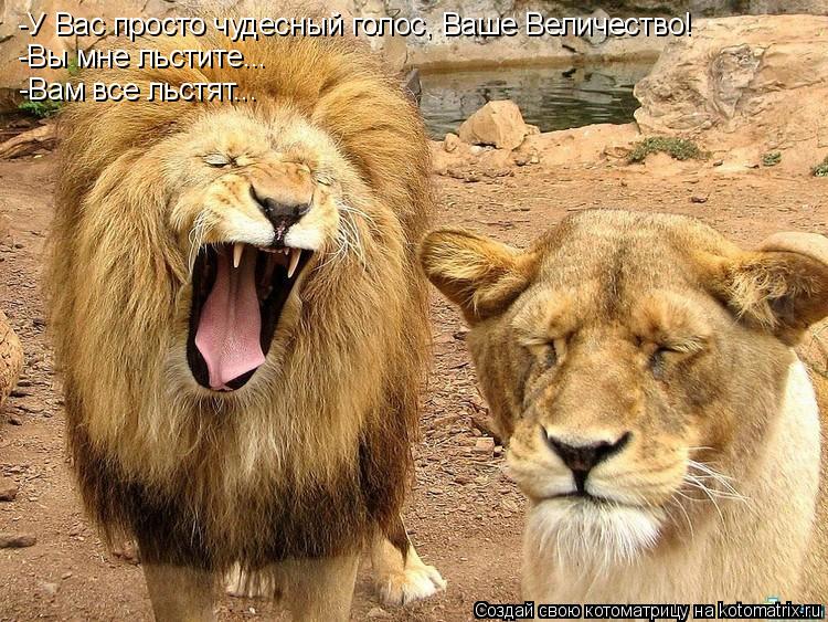 -У Вас просто чудесный голос, Ваше Величество! -Вы мне льстите... -Вам все льстят...... Котоматрица: -У Вас просто чудесный голос, Ваше Величество! -Вы мне льстите... -Вам все льстят...