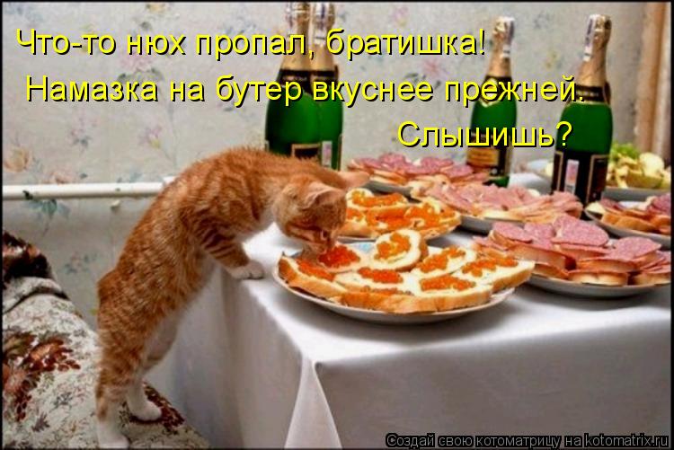 Котоматрица: Что-то нюх пропал, братишка! Намазка на бутер вкуснее прежней. Слышишь?