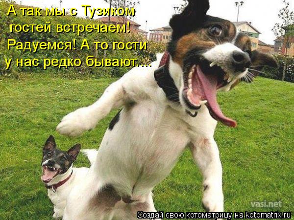 Котоматрица: А так мы с Тузиком  гостей встречаем! Радуемся! А то гости  у нас редко бывают....