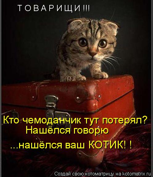 Котоматрица: Т О В А Р И Щ И !!! Нашёлся говорю ...нашёлся ваш КОТИК! ! Кто чемоданчик тут потерял?