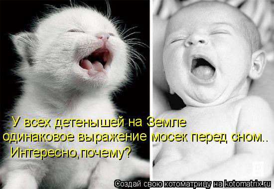 Котоматрица: У всех детенышей на Земле одинаковое выражение мосек перед сном.. Интересно,почему?