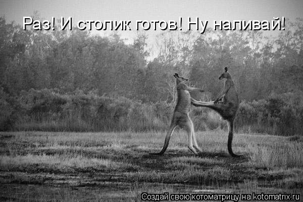 Раз! И столик готов! Ну наливай!... Котоматрица: Раз! И столик готов! Ну наливай!