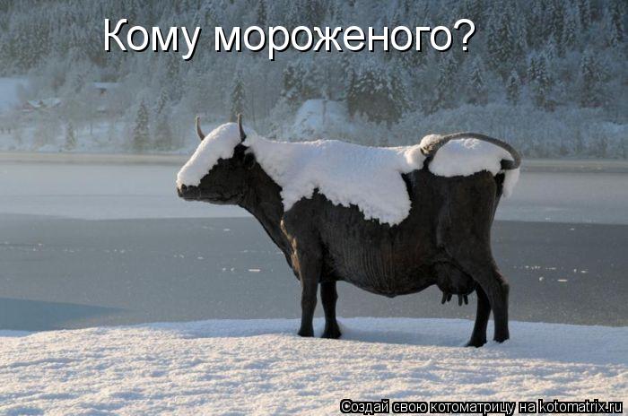 Кому мороженого?... Котоматрица: Кому мороженого?