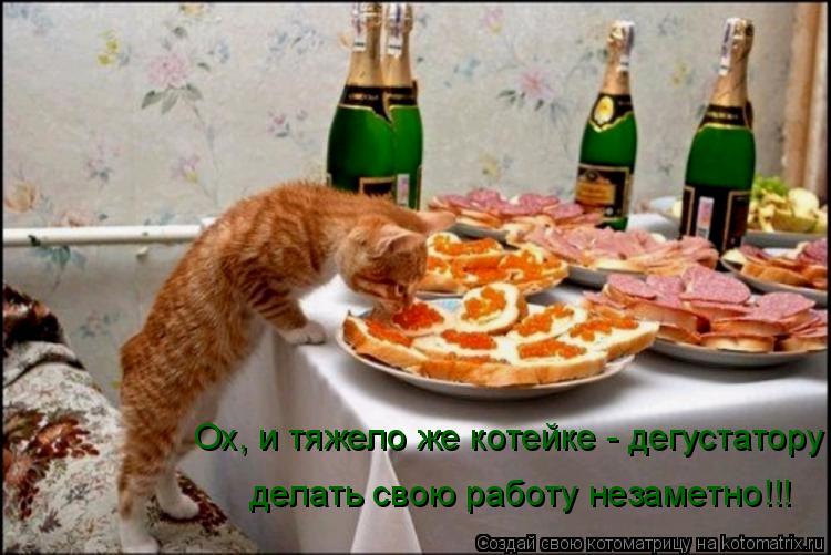 Ох, и тяжело же котейке - дегустатору делать свою работу незаметно!!!... Котоматрица: Ох, и тяжело же котейке - дегустатору делать свою работу незаметно!!!