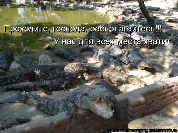 Проходите, господа, располагайтесь!!! У нас для всех места хватит...... Котоматрица: Проходите, господа, располагайтесь!!! У нас для всех места хватит...