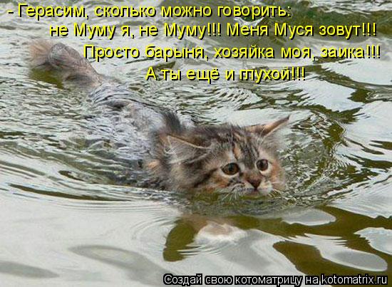 Котоматрица: - Герасим, сколько можно говорить: не Муму я, не Муму!!! Меня Муся зовут!!! Просто барыня, хозяйка моя, заика!!! А ты ещё и глухой!!!
