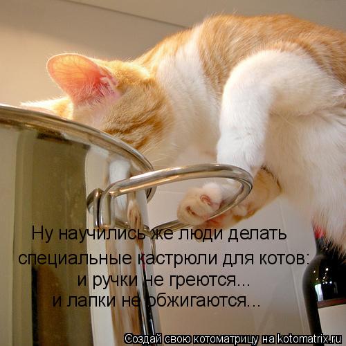 специальные кастрюли для котов: Ну научились же люди делать и ручки не греются... и лапки не обжигаю... Котоматрица: специальные кастрюли для котов: Ну научились же люди делать и ручки не греются... и лапки не обжигаются...