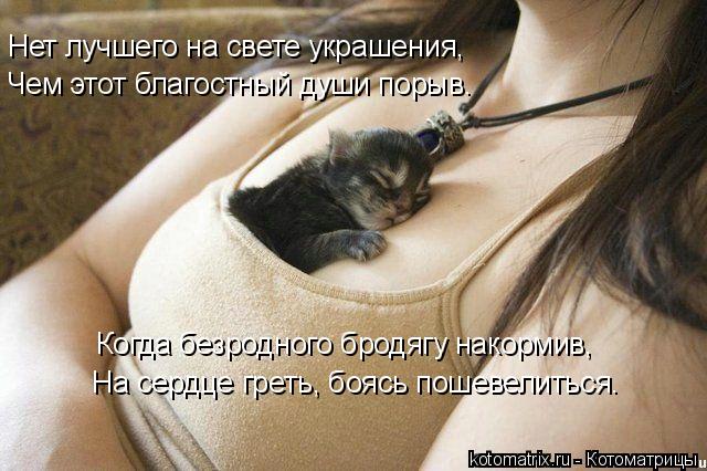 Нет лучшего на свете украшения, Чем этот благостный души порыв. Когда безродного бродягу накормив, На... Котоматрица: Нет лучшего на свете украшения, Чем этот благостный души порыв. Когда безродного бродягу накормив, На сердце греть, боясь пошевелиться…