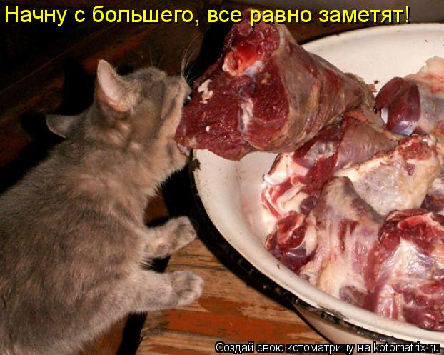 Начну с большего, все равно заметят!... Котоматрица: Начну с большего, все равно заметят!