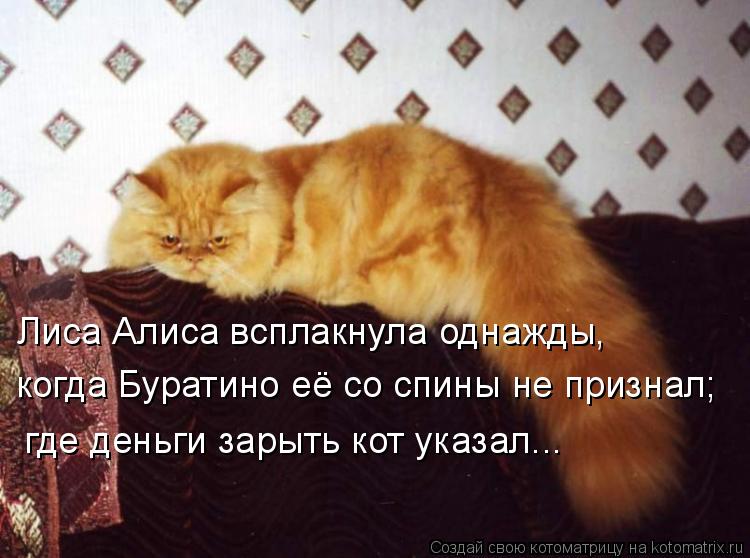 Лиса Алиса всплакнула однажды, когда Буратино её со спины не признал; где деньги зарыть кот указал...... Котоматрица: Лиса Алиса всплакнула однажды, когда Буратино её со спины не признал; где деньги зарыть кот указал...