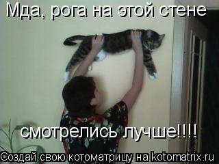 Мда, рога на этой стене смотрелись лучше!!!!... Котоматрица: Мда, рога на этой стене смотрелись лучше!!!!