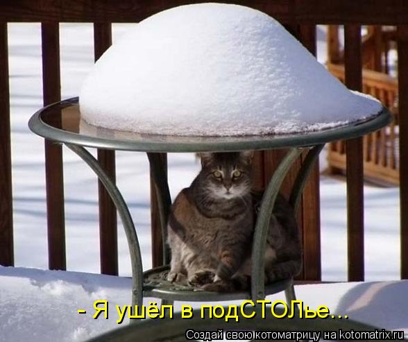 Котоматрица: - Я ушёл в подСТОЛье...