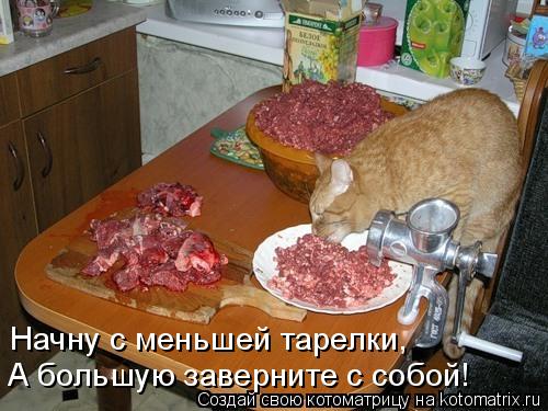 Котоматрица: Начну с меньшей тарелки, А большую заверните с собой!