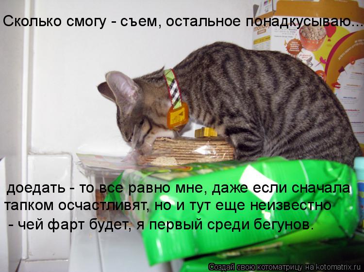 Сколько смогу - съем, остальное понадкусываю... доедать - то все равно мне, даже если сначала тапком ... Котоматрица: Сколько смогу - съем, остальное понадкусываю... доедать - то все равно мне, даже если сначала тапком осчастливят, но и тут еще неизвестно - че