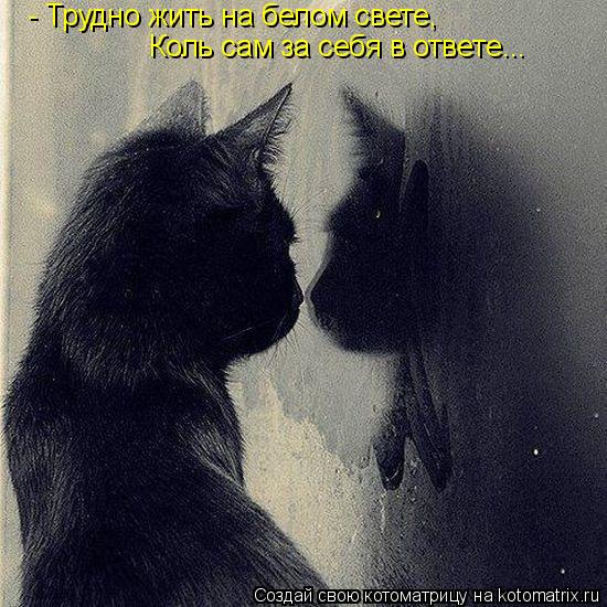 - Трудно жить на белом свете, Коль сам за себя в ответе...... Котоматрица: - Трудно жить на белом свете, Коль сам за себя в ответе...