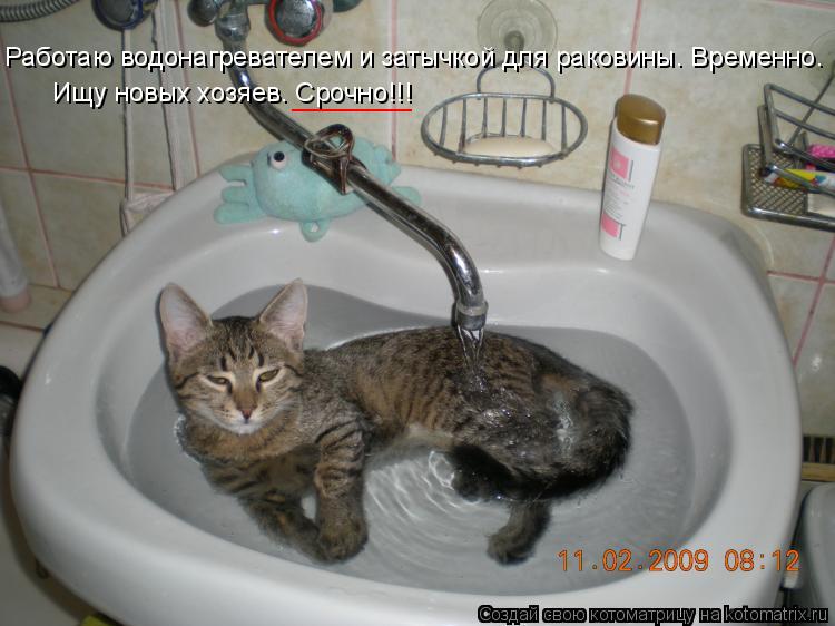 Работаю водонагревателем и затычкой для раковины. Временно. Ищу новых хозяев. Срочно!!! ________... Котоматрица: Работаю водонагревателем и затычкой для раковины. Временно. Ищу новых хозяев. Срочно!!! ________